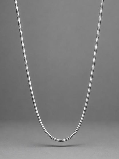 Silver Serpent Chain
