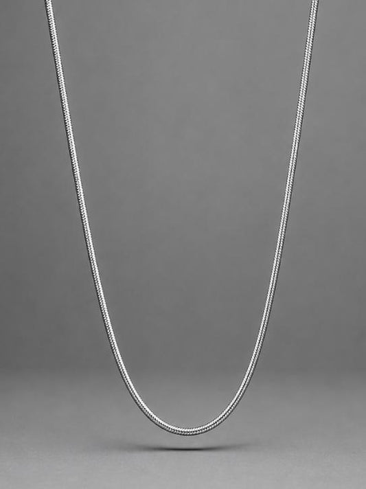 Silver Serpent Chain